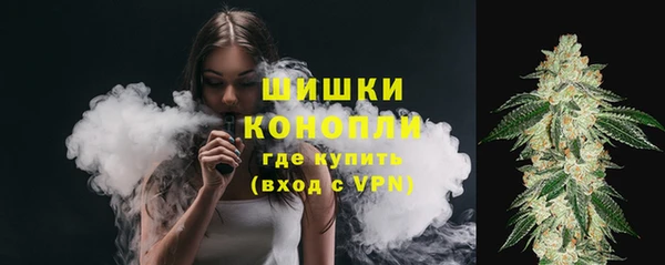 твердый Иннополис