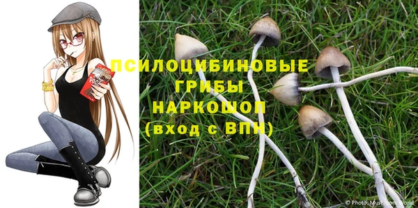 мескалин Струнино