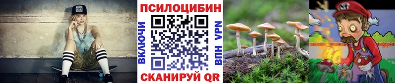 kraken зеркало  Урень  Псилоцибиновые грибы мицелий 