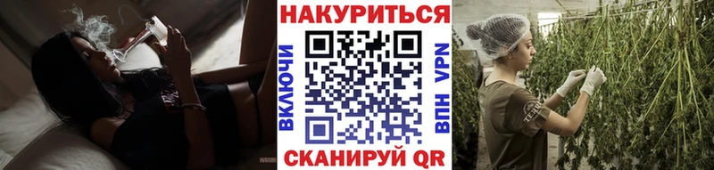 Конопля гибрид  Урень 